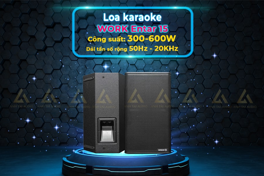 Loa karaoke WORK Entar 15